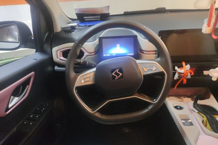 Used SOL E10X 2022 Flower Fairy Design Four-Leaf Clover
