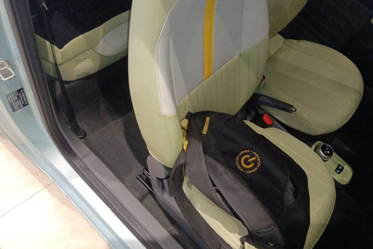 Used  Panda 2023 Panda Mini 200km Endurance Bear
