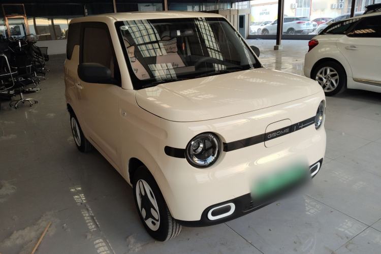Used  Panda 2025 210 km – Yuanqi Bear