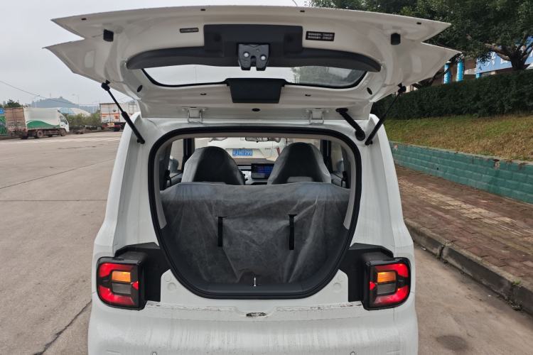 Used  Panda 2024 Panda Mini 200km Endurance Bear