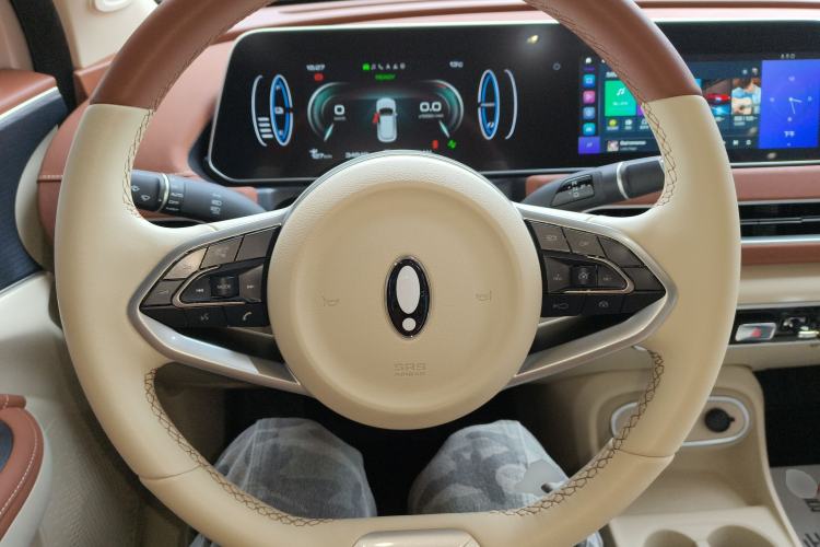 Used ORA Good Cat 2023 401 km Standard Range Luxury Version Lithium Iron Phosphate
