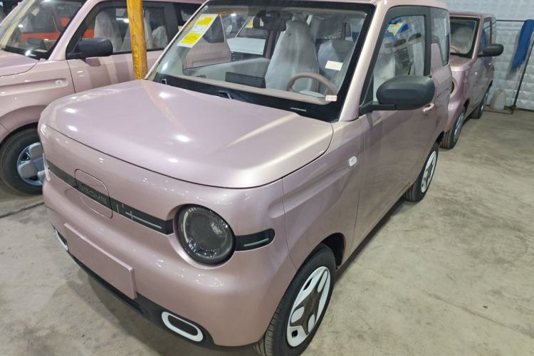 Used  Panda 2025 210 km – Yuanqi Bear
