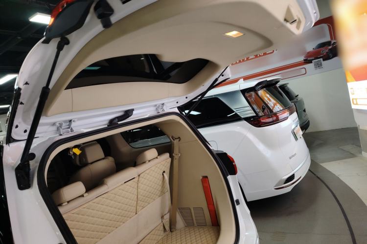 Used Buick GL8 2022 ES Landtrek 653T Luxury Edition
