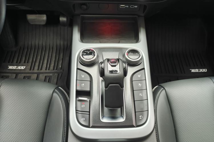 Used Tank 300 2021 City Edition 2.0T—Truly Stylish
