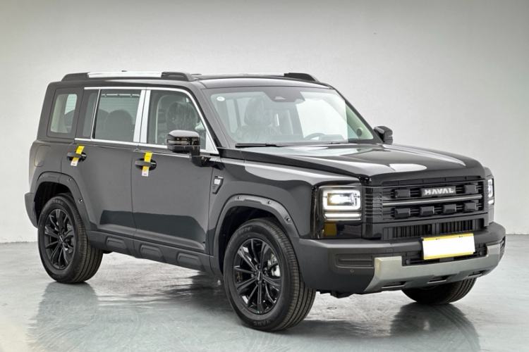 Used Haval Raptor New Energy 
