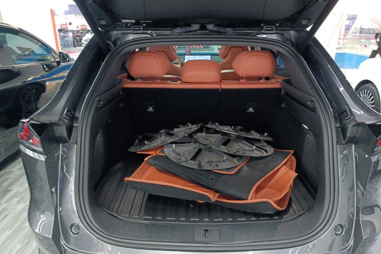 Used  S07 2023 520Max Pure Electric Version
