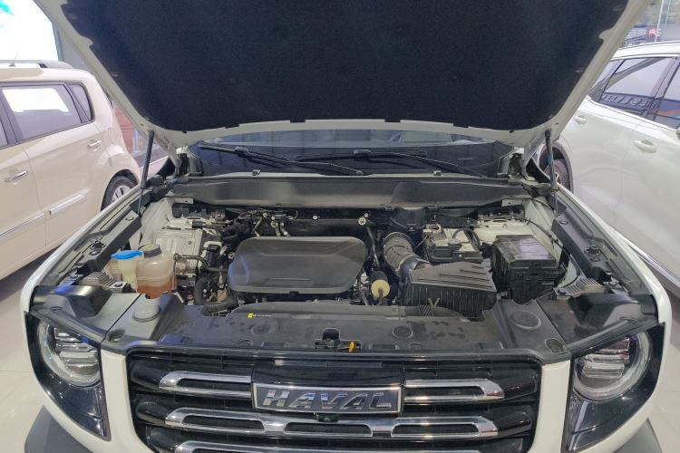 Used Haval DARGO 2022 1.5T DCT Two-Wheel Drive Labrador Edition
