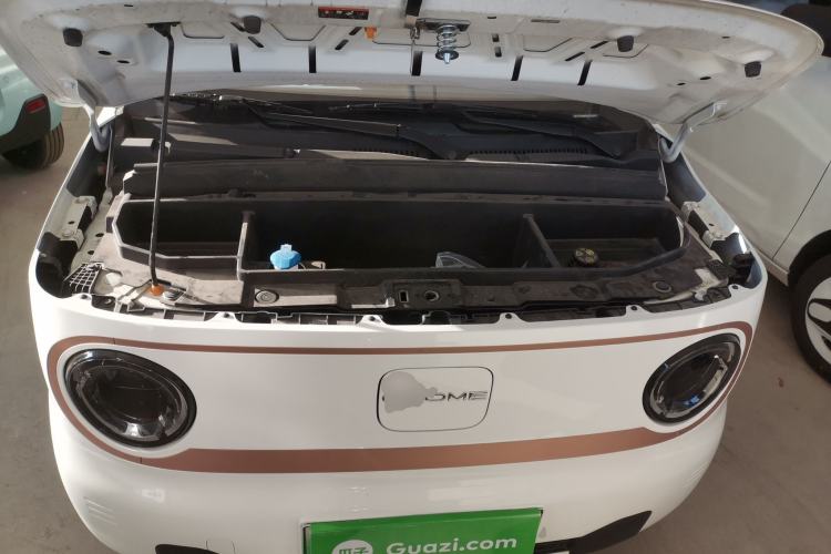 Used  Panda 2024 Panda Mini 200km Endurance Bear
