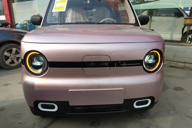 Used  Panda 2025 210 km – Yuanqi Bear
