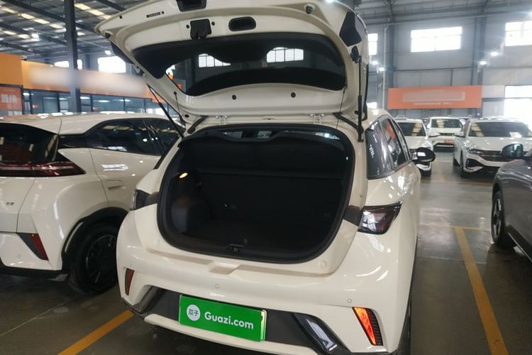 Used BYD Dolphin 2025 420km Free Edition