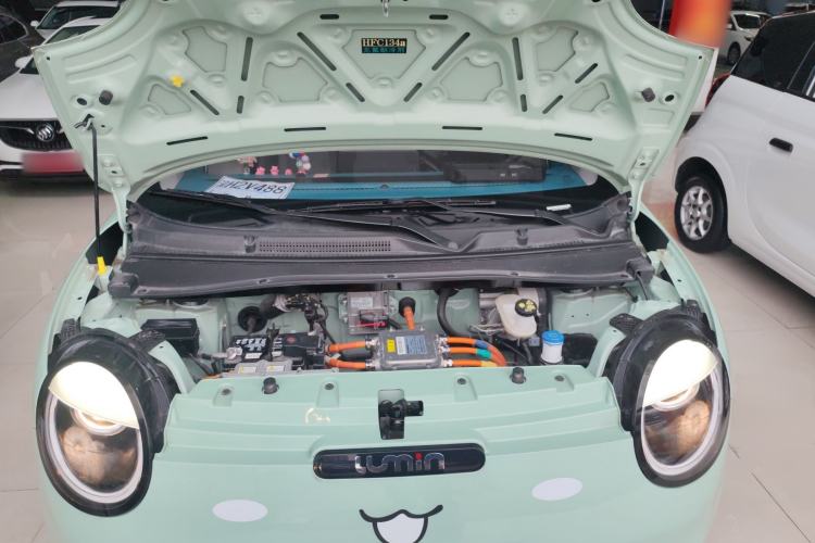 Used  Lumin 2022 210km Sweet Edition
