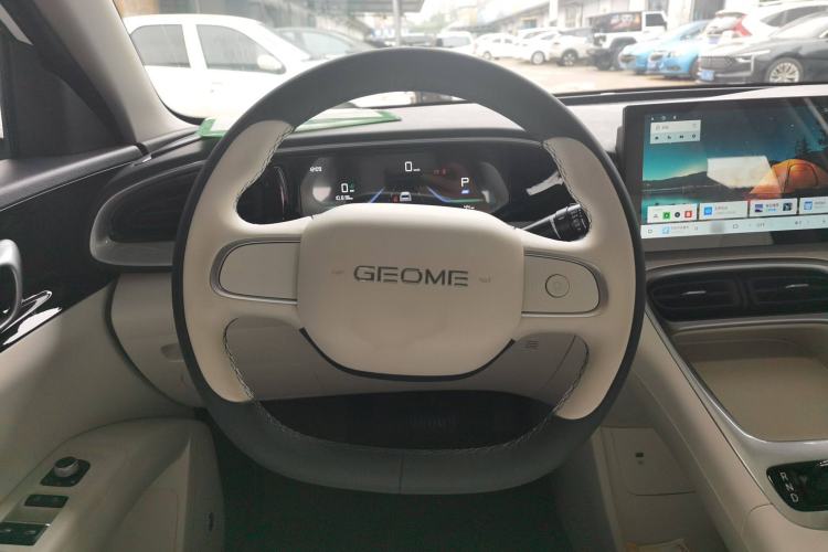 Used  Geome 2025 310km Youth Edition
