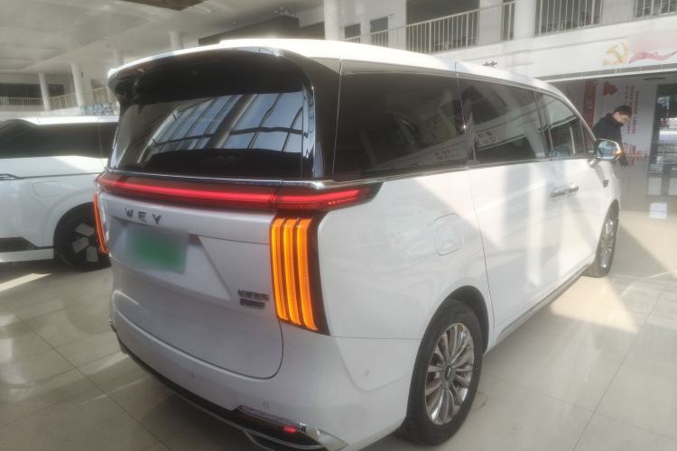 Used Wey Gaoshan 2023 Four-Wheel Drive Flagship Edition