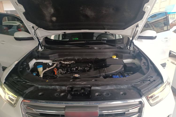 Used Haval H6 2017 Red Label 2.0T Automatic Two-Wheel Drive ZhiShang Model
