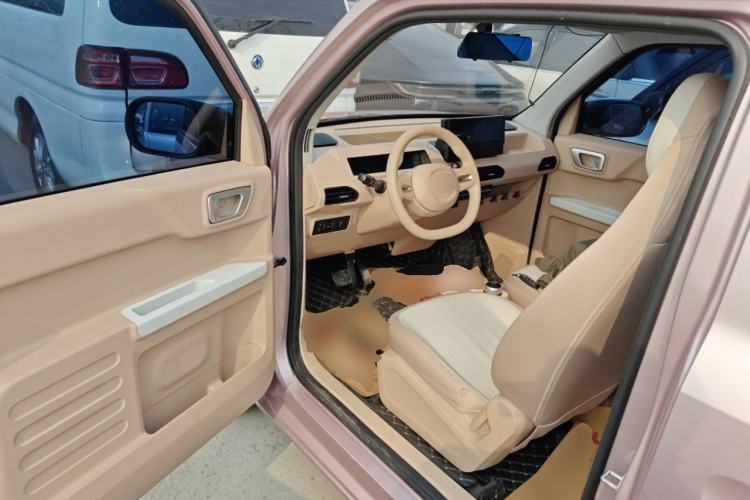 Used  Panda 2023 Panda Mini 200km Endurance Bear