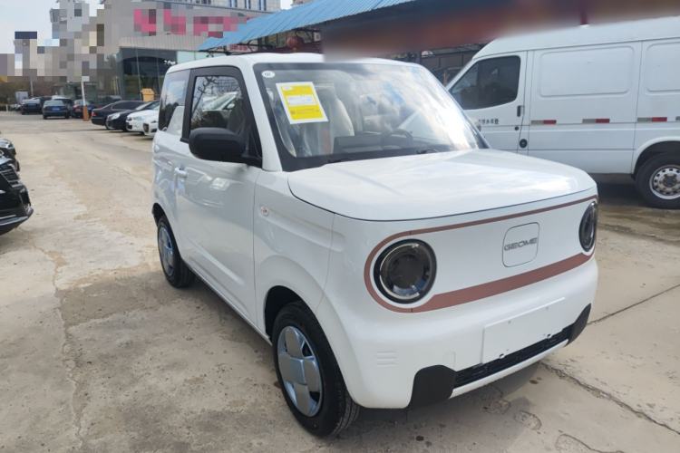 Used  Panda 2024 Panda Mini 200km Endurance Bear
