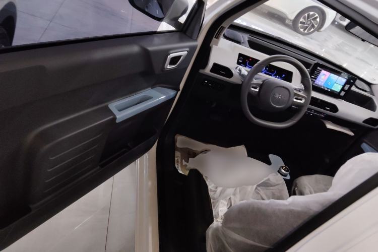 Used  Panda 2024 Panda Mini 200km Endurance Bear
