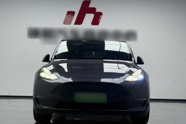 Used Tesla Model Y 2021 Standard Range Rear-Wheel Drive Version
