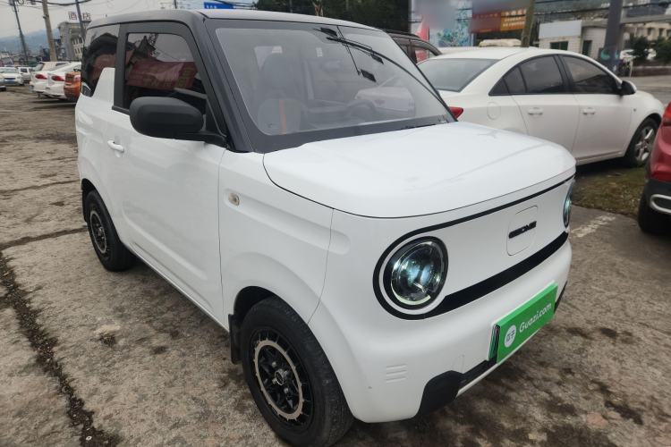 Used  Panda 2023 Panda Mini 200km Dynamic Bear
