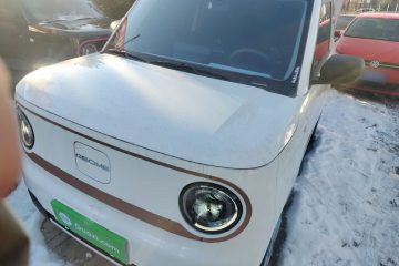 Used Geely Galaxy Panda 2025 210 km – Yuanqi Bear
