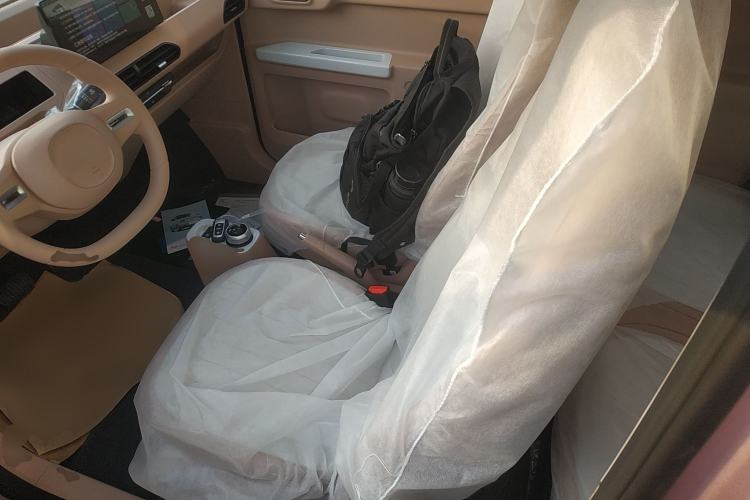 Used  Panda 2024 Panda Mini 200km Endurance Bear