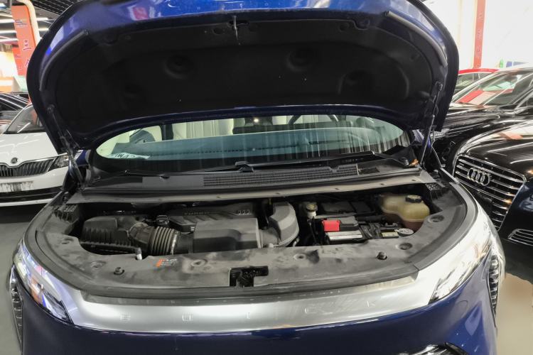 Used Buick Century 2023 2.0T Six-Seater Yinshi Edition
