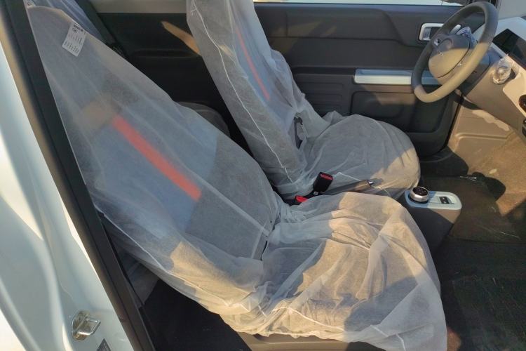 Used  Panda 2024 Panda Mini 200km Endurance Bear
