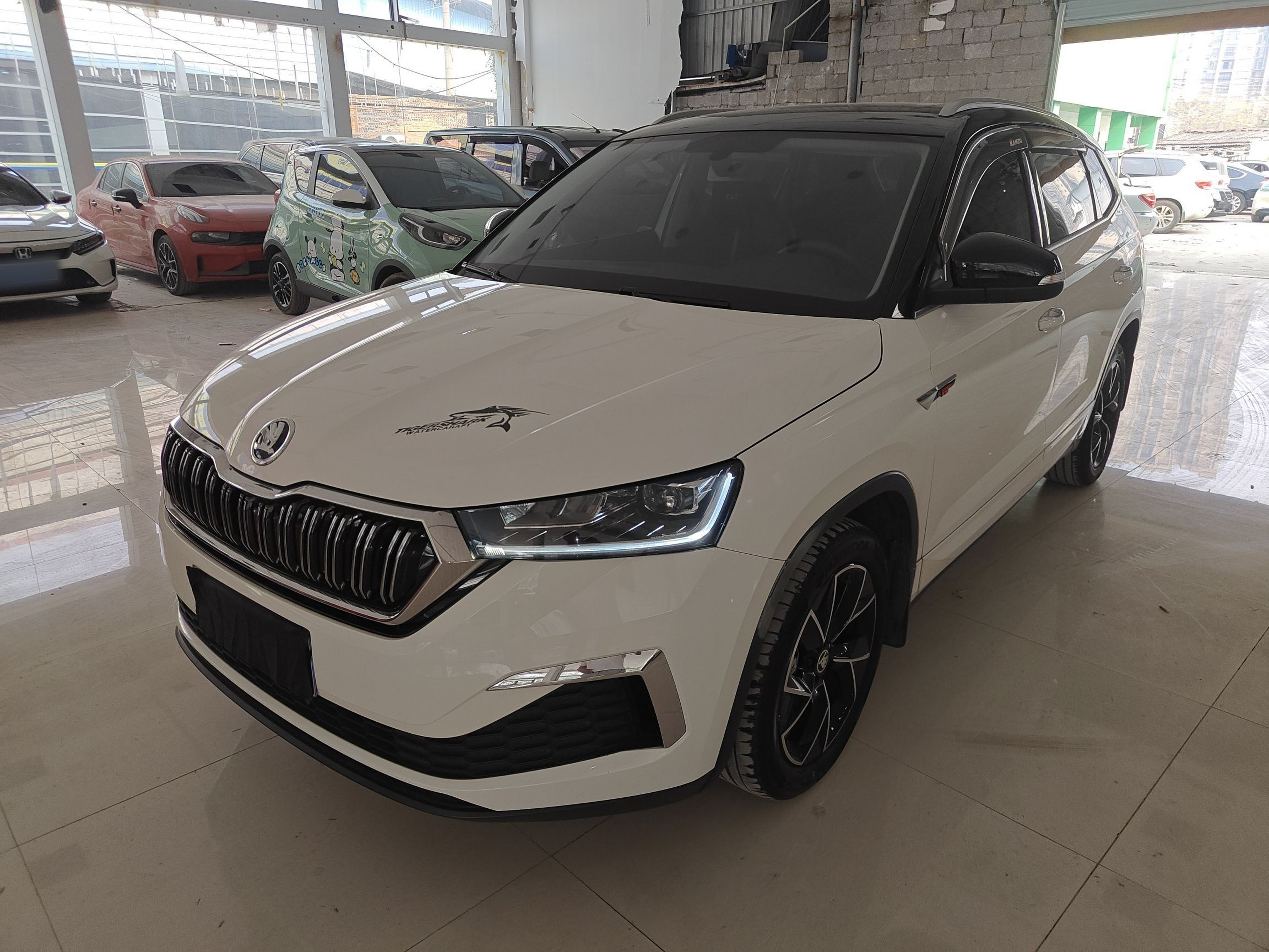 تحت مقدمة السيارة