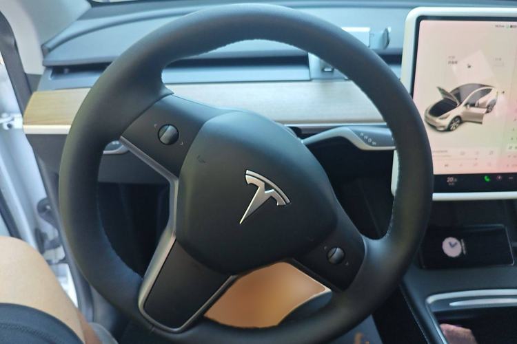 Used Tesla Model Y 2021 Long-Range All-Wheel-Drive Version
