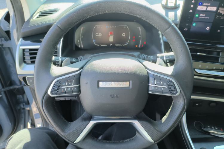 Used Haval H6 2021 National Trend Edition 1.5T Automatic Champion Version