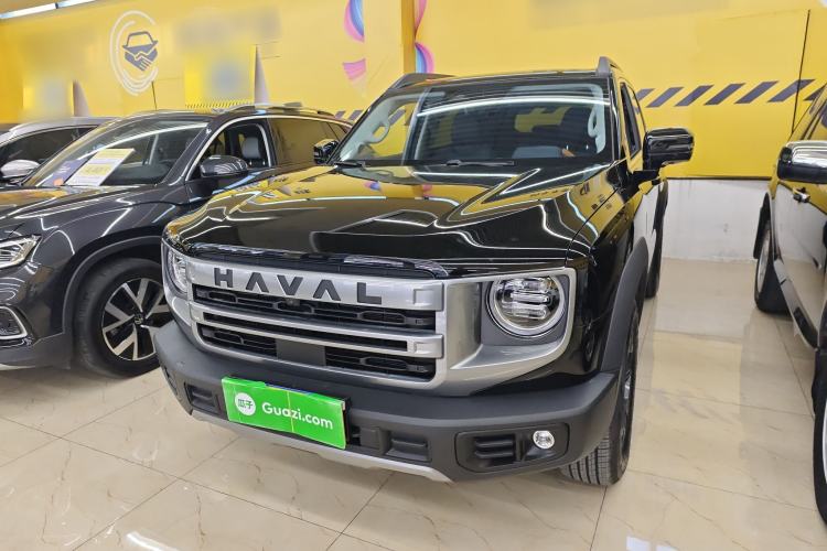 Used Haval DARGO 2024 2.0T DCT Chinese Rural Dog Edition