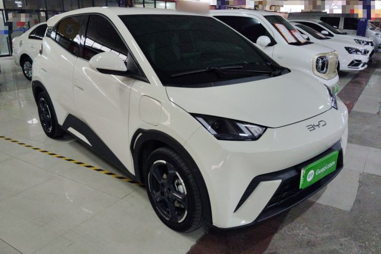 Used BYD Seagull 2024 Honor Edition 305km Freedom Version