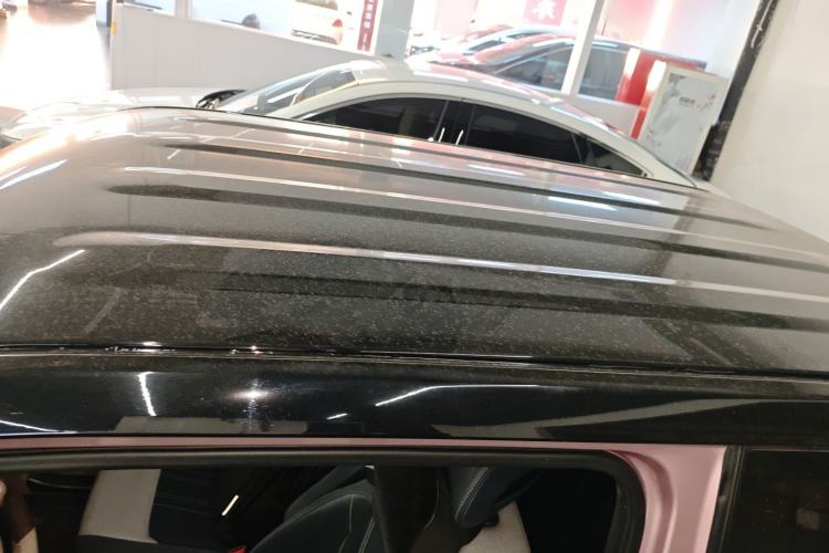 Used  Panda 2024 Panda Mini 200km Endurance Bear
