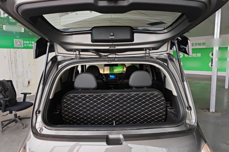 Used ORA White Cat 2020 401 km Flagship Version
