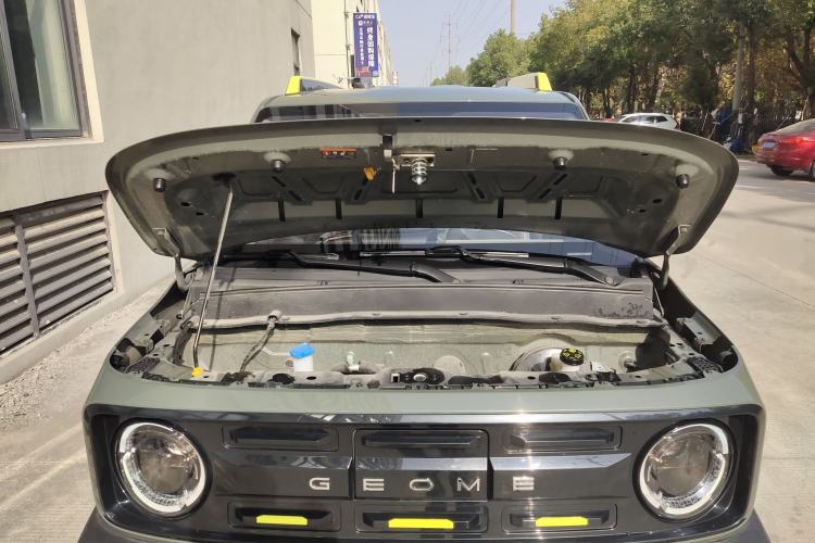 Used  Panda 2024 200km Panda Rider