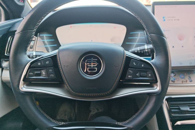 Used BYD Tang New Energy 2022 DM-p 215KM Four-Wheel Drive Flagship Model