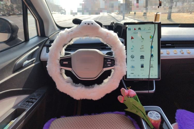 Used NETA AYA 2023 401