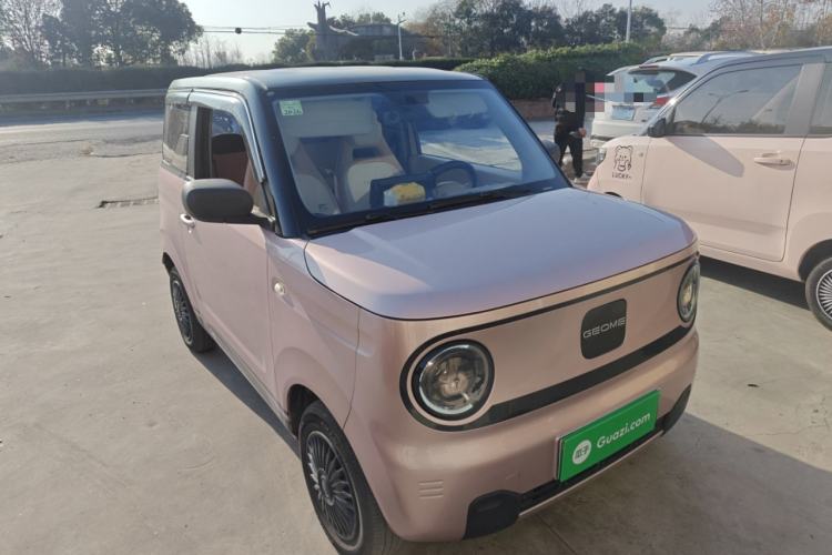 Used  Panda 2023 Panda Mini 200km Endurance Bear
