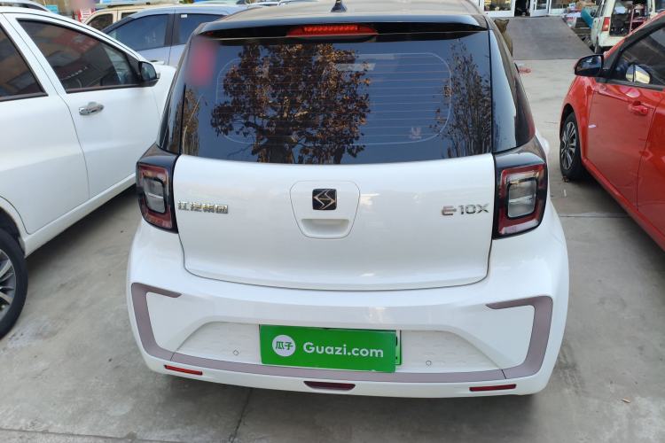 Used SOL E10X 2022 Flower Fairy Design Four-Leaf Clover