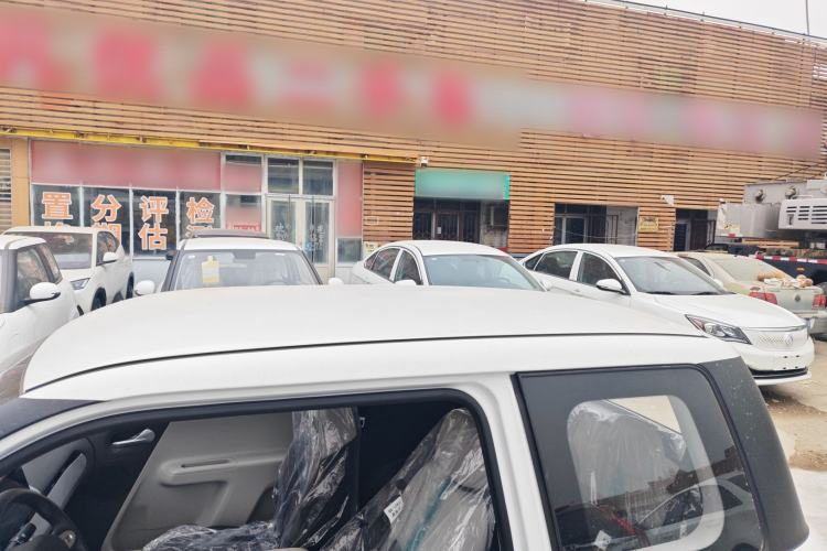 Used  Lumin 2025 205 km Xiangqin Version