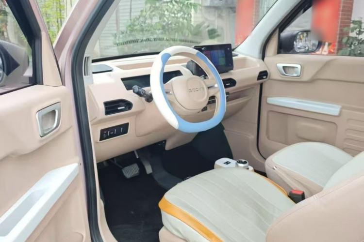 Used  Panda 2023 Panda Mini 200km Endurance Bear
