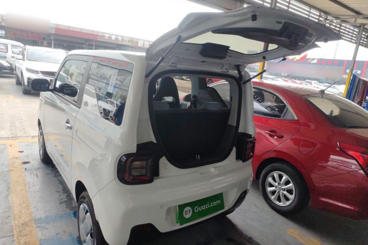 Used  Panda 2024 Panda Mini 200km Endurance Bear
