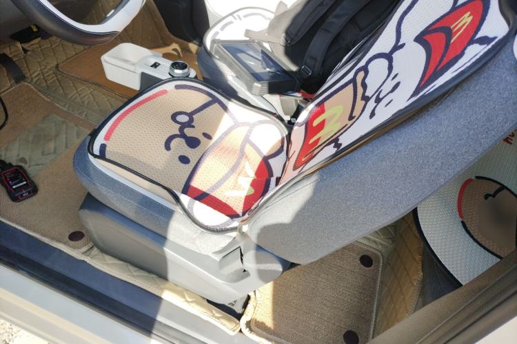 Used  Panda 2025 210 km – Yuanqi Bear
