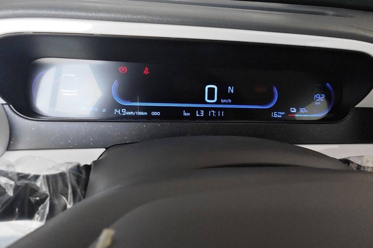 Used  Panda 2025 210 km – Yuanqi Bear
