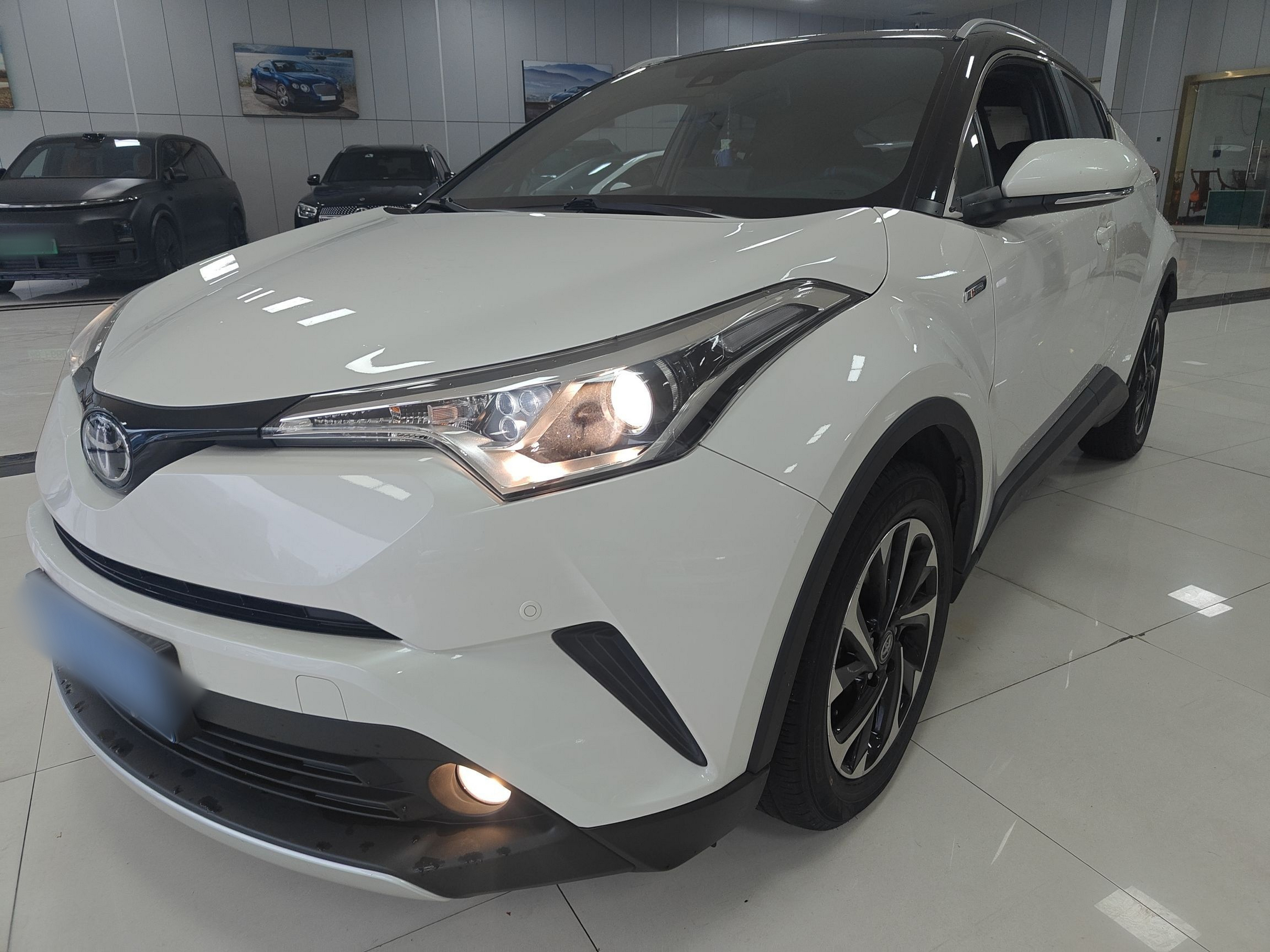 تحت مقدمة السيارة