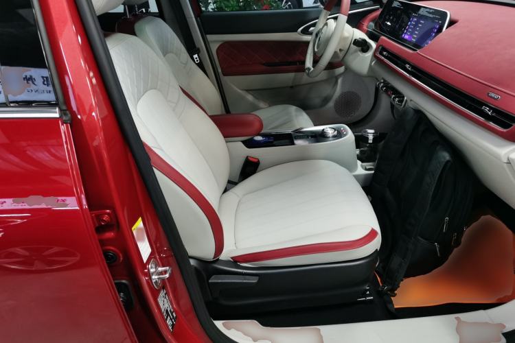 Used ORA Good Cat 2021 400km Standard Range Athena Edition Lithium-Ion Battery
