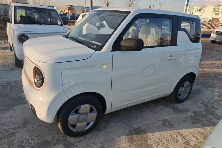 Used  Panda 2024 Panda Mini 200km Endurance Bear