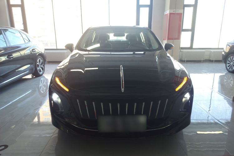 Used Hongqi E-QM5 2023 Revised Version Basic Travel Edition
