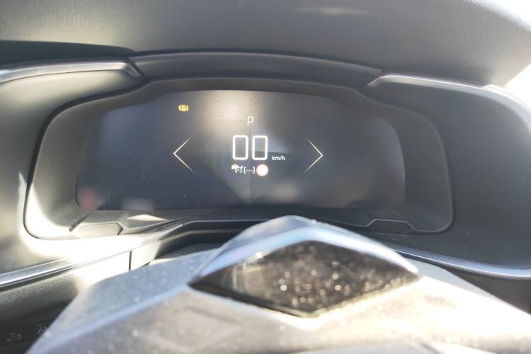 Used  7 2018 45THP Rivoli Pioneer Edition
