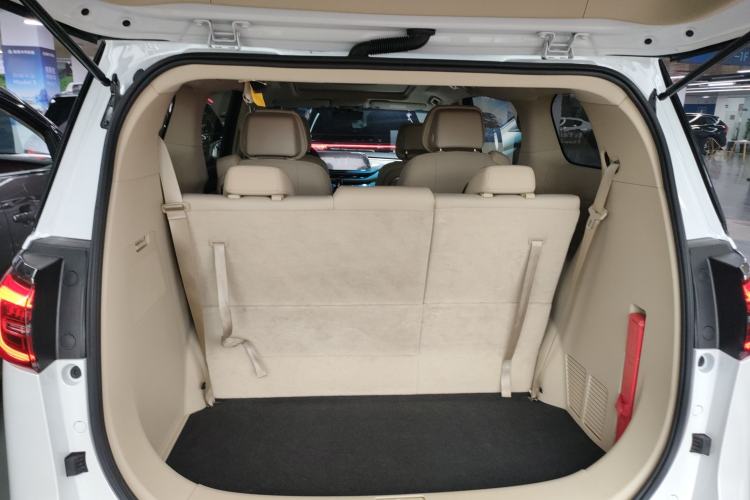 Used Buick GL8 2022 ES Landtrek 653T Luxury Edition
